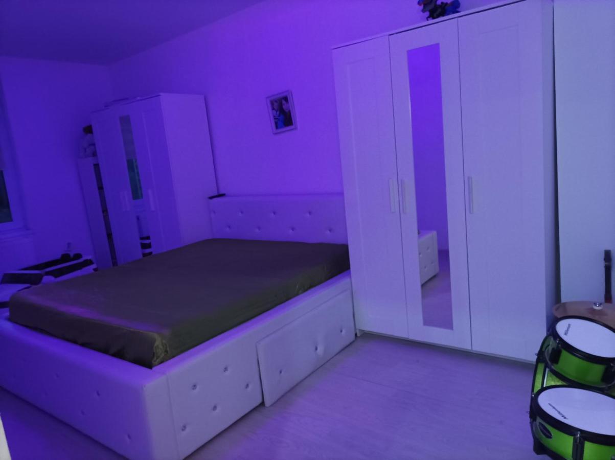 Apartament Doua Camere Uricani  エクステリア 写真