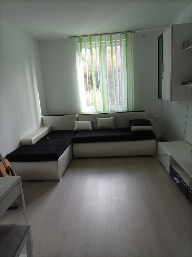 Apartament Doua Camere Uricani  エクステリア 写真