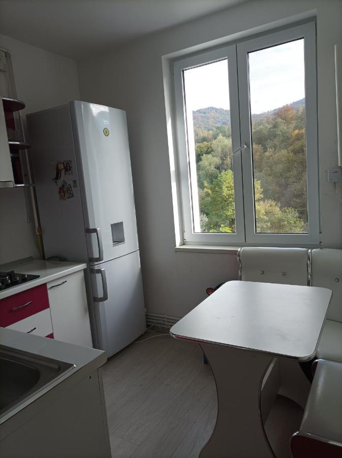 Apartament Doua Camere Uricani  エクステリア 写真